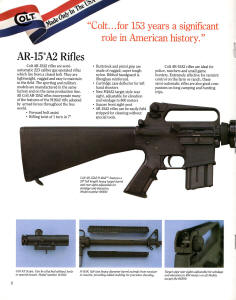 R6550 Gov't rifle