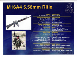 2010 Colt Defense limited edition European show brochure 5