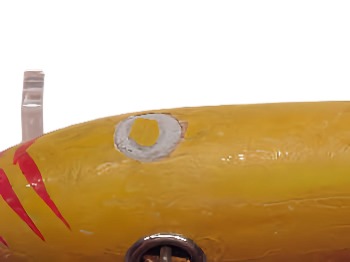 bellywt.jpg (17581 bytes)