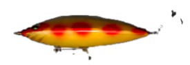 900bait.jpg (20837 bytes)